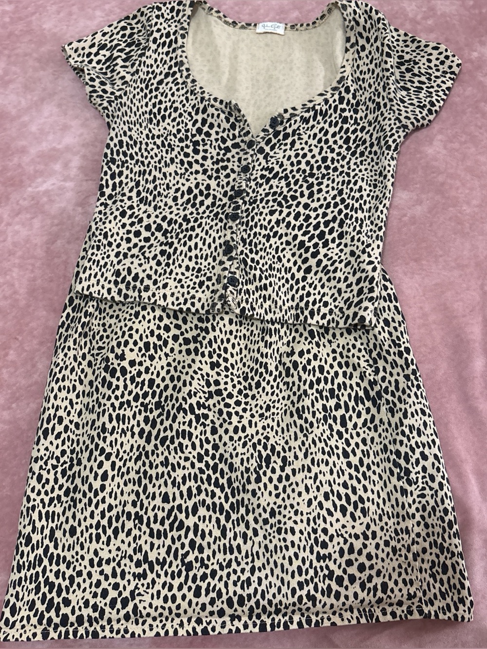 Brandy Melville leopard print top and skirt set